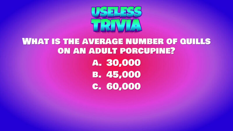 Useless Trivia Round Six